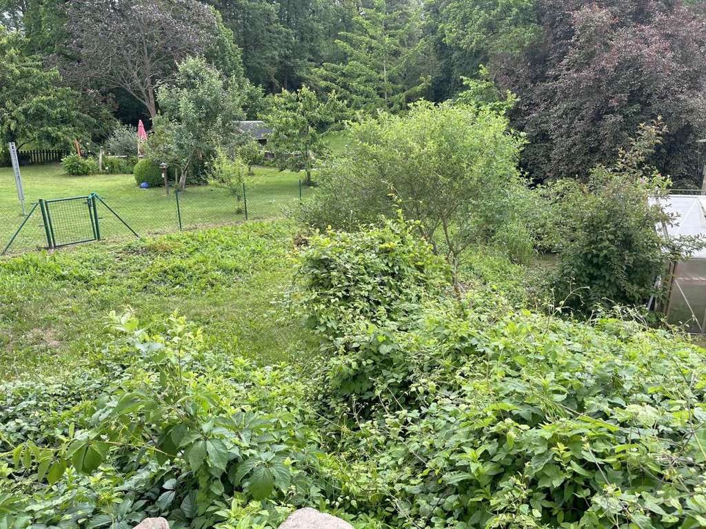 Immobilie in Molfsee - Vermietetes, sanierungsbedürftiges EFH mit ELW im beliebten Molfsee - Bild 3