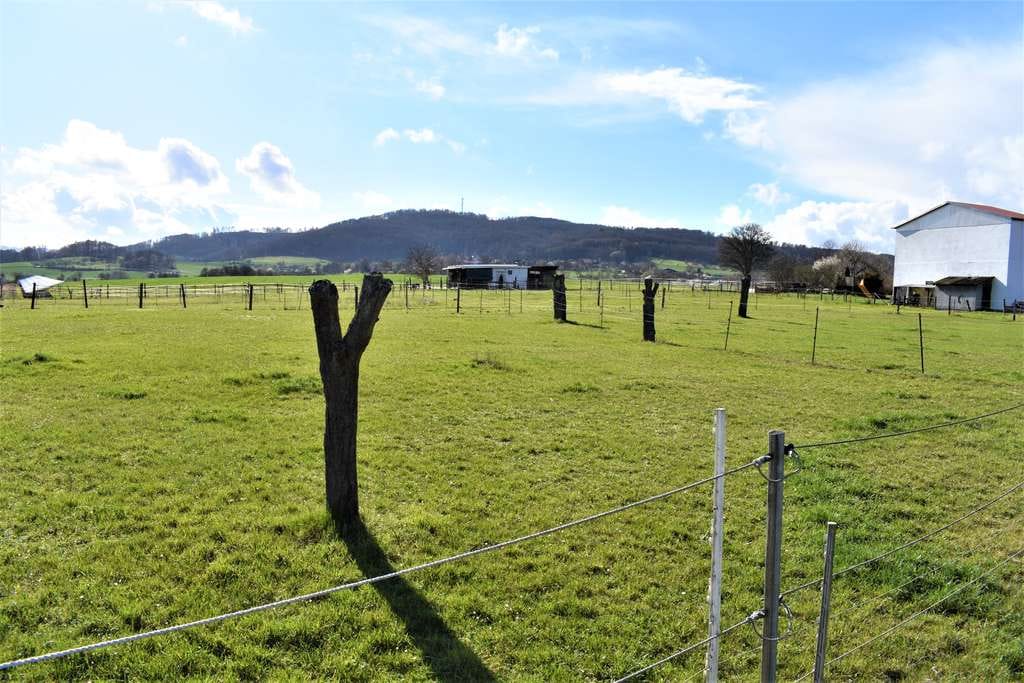 Immobilie in Neu-Eichenberg - Reitschule/Pferdepension/Gnadenhof/Pferdehaltung - hier ist alles denkbar! - Bild 3