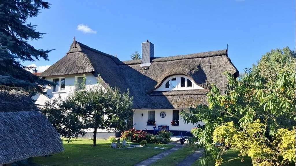 Immobilie in Gustow - Platz für Familie, Pferde und Träume - Bild 1