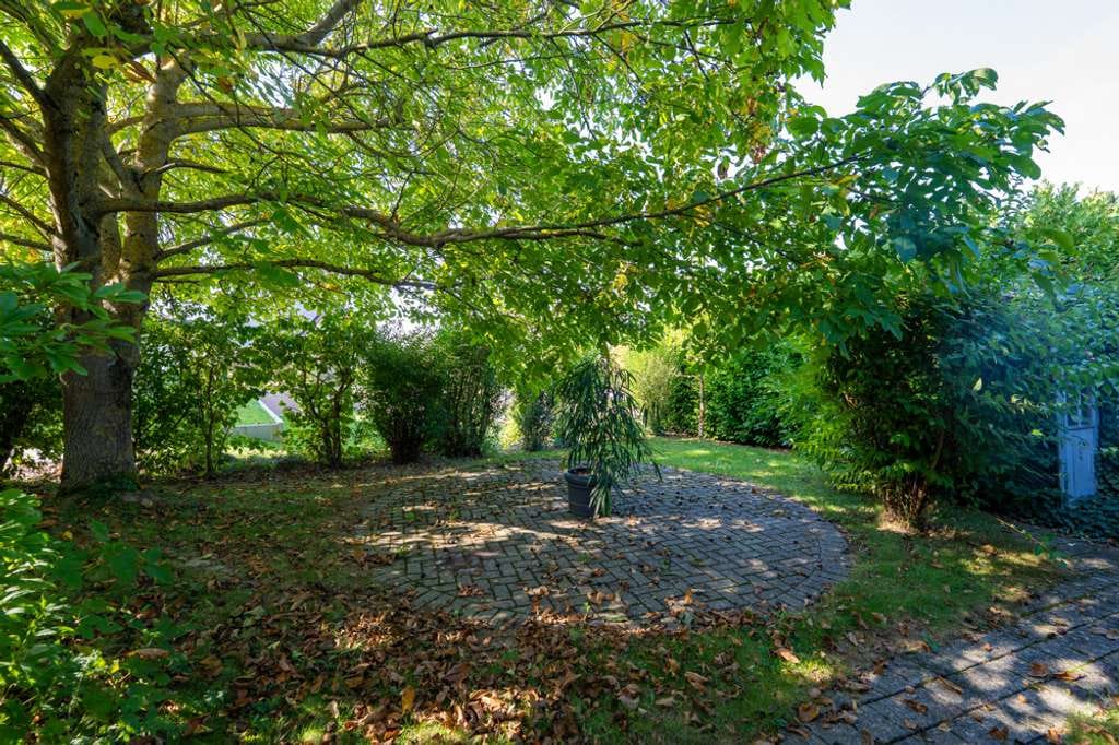 Immobilie in Weisel - ***Raumvielfalt und Gartenidylle*** - Bild 4
