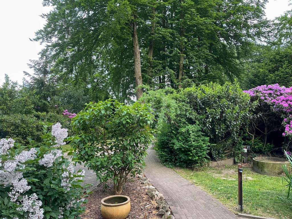 Immobilie in Dassendorf - Traumgrundstück am Waldrand – charmantes Haus mit großem Potenzial ! - Bild 4
