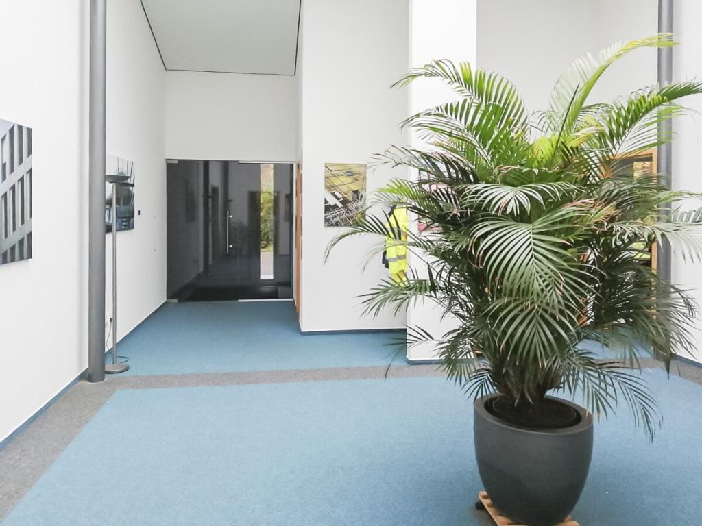 Immobilie in Bad Kissingen - Quadratisch, praktisch, flexibel - außergewöhnliche Immobilie in Bad Kissingen OT Hausen - Bild 3