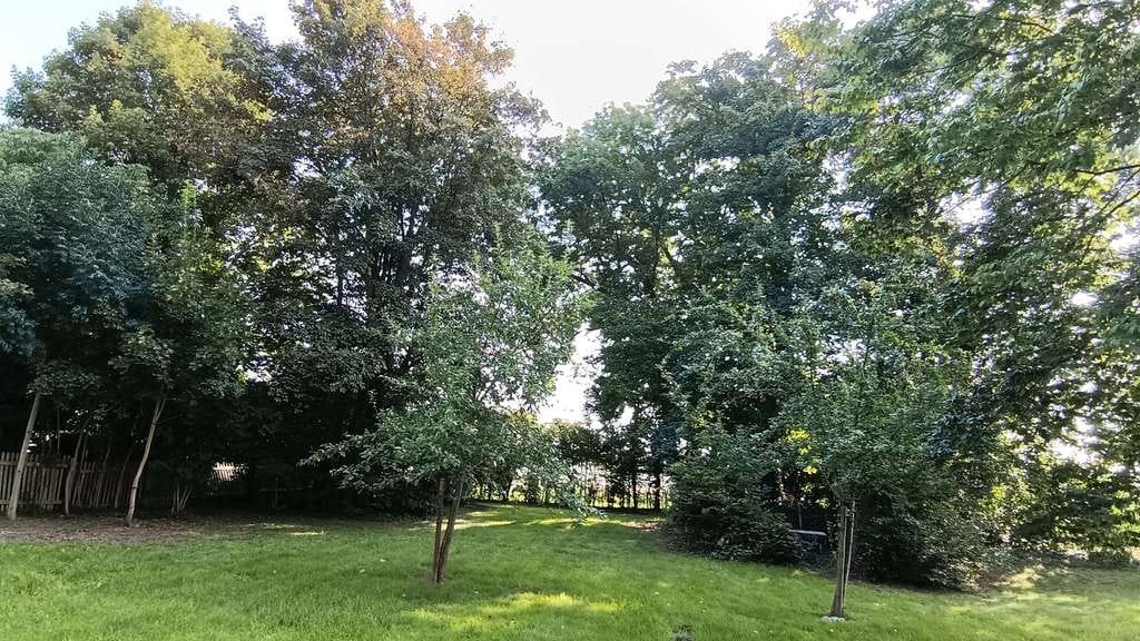 Immobilie in Haverlah - Ehemaliges Pfarrhaus in Haverlah - Bild 3