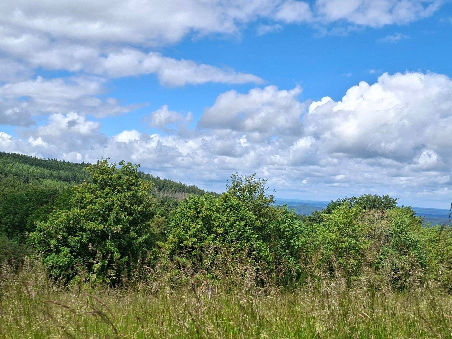 Immobilie in Gersfeld - Dalherda (Gersfeld) in landschaftlich traumhafter Lage ! (Ferien-)Häuschen mit größerem Grundstück im Dornröschenschlaf :) - Bild 0