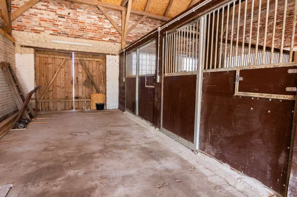 Immobilie in Wagenfeld - Hier schlagen Reiterherzen höher-
Resthof  mit Pferdehaltung - Bild 3