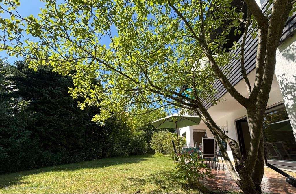 Immobilie in Schlangenbad - Schöner Wohnen in Georgenborn - Bild 1