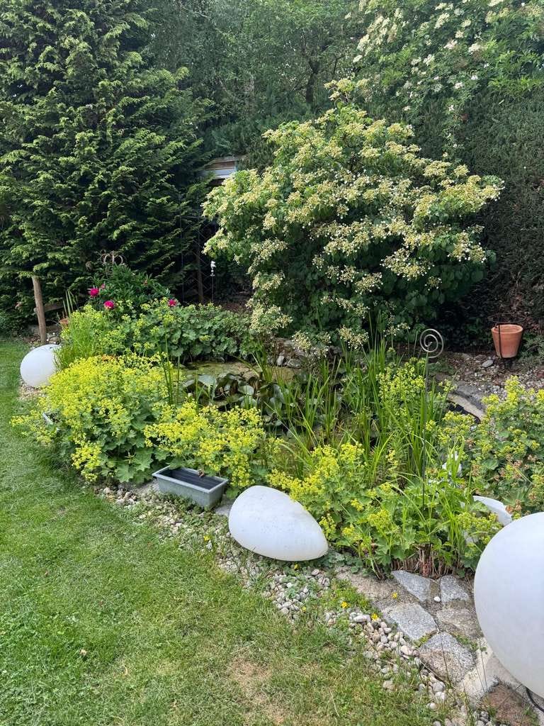 Immobilie in Pforzen - Ihr neues Zuhause mit viel Platz und wunderschönem Garten in Pforzen - Bild 4