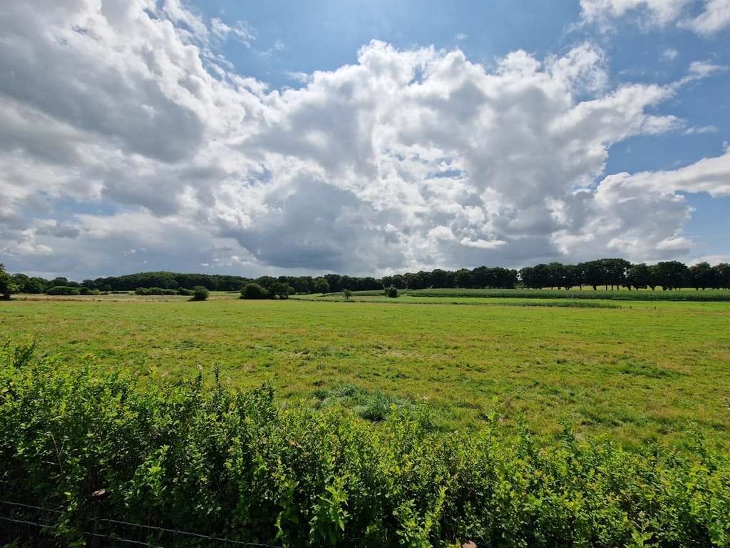 Immobilie in Ostrohe - Blick ins Grüne - Einfamilienhaus mit Garage und schönem Grundstück in guter Lage - Bild 3
