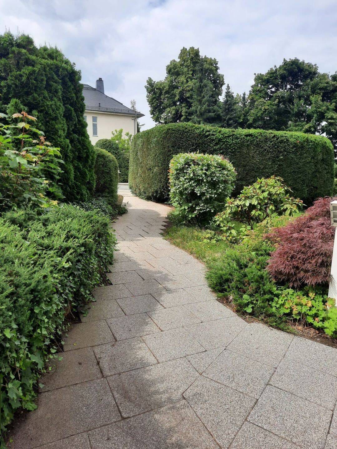 Immobilie in Hartmannsdorf - gemütliche 2-Raum-Wohnung in gepflegter Wohnanlage - Bild 2