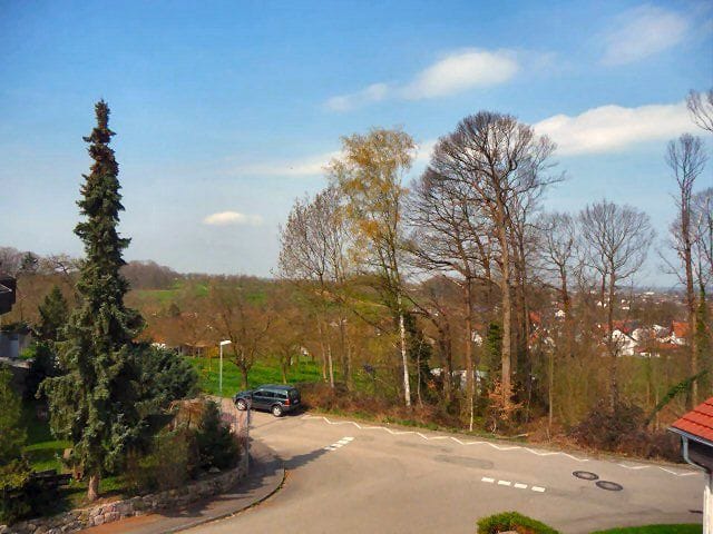 Immobilie in Sasbach - Sowohl Naherholung als auch Kapitalanlage - Bild 1