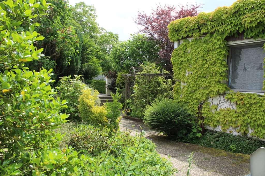 Immobilie in Weimar (Lahn) - Grünes Paradies mit traumhafter Fernsicht - Bild 4