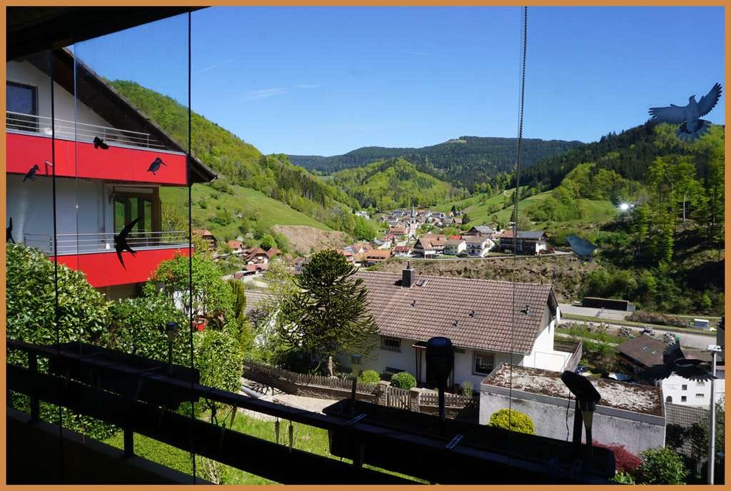 Immobilie in Bad Peterstal-Griesbach - Wohnen mit Weitblick – Charmante 2-Zimmer-Wohnung in traumhafter Aussichtslage - bezugsfrei ! - Bild 2