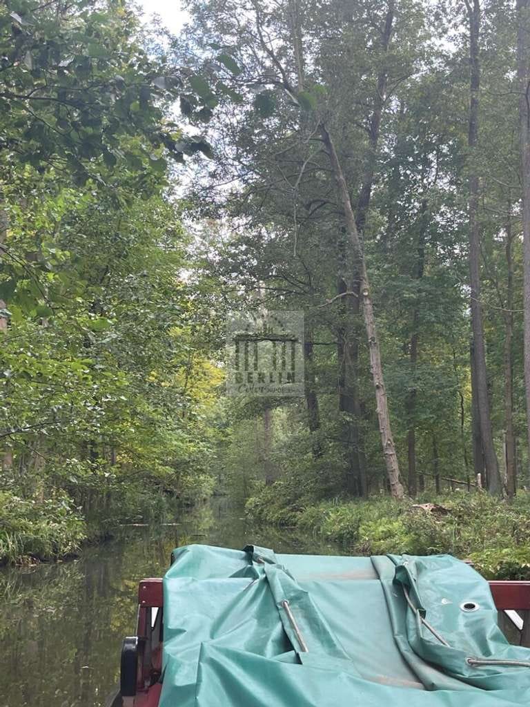 Immobilie in Spreewaldheide - Diskrete Vermarktung! Gepflegter Dreiseitenhof im schönen Spreewald - Bild 2