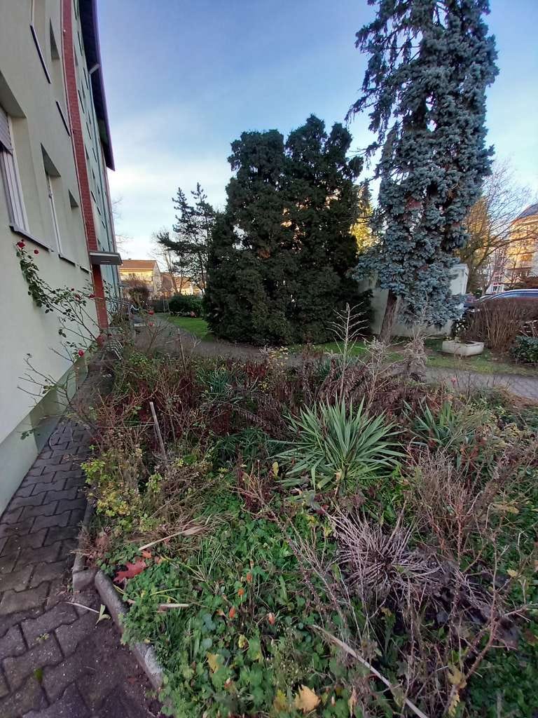 Immobilie in Lauf an der Pegnitz - Jetzt klug investieren, zentralgelegene 3-Zimmerwohnug in LAuf - Bild 1