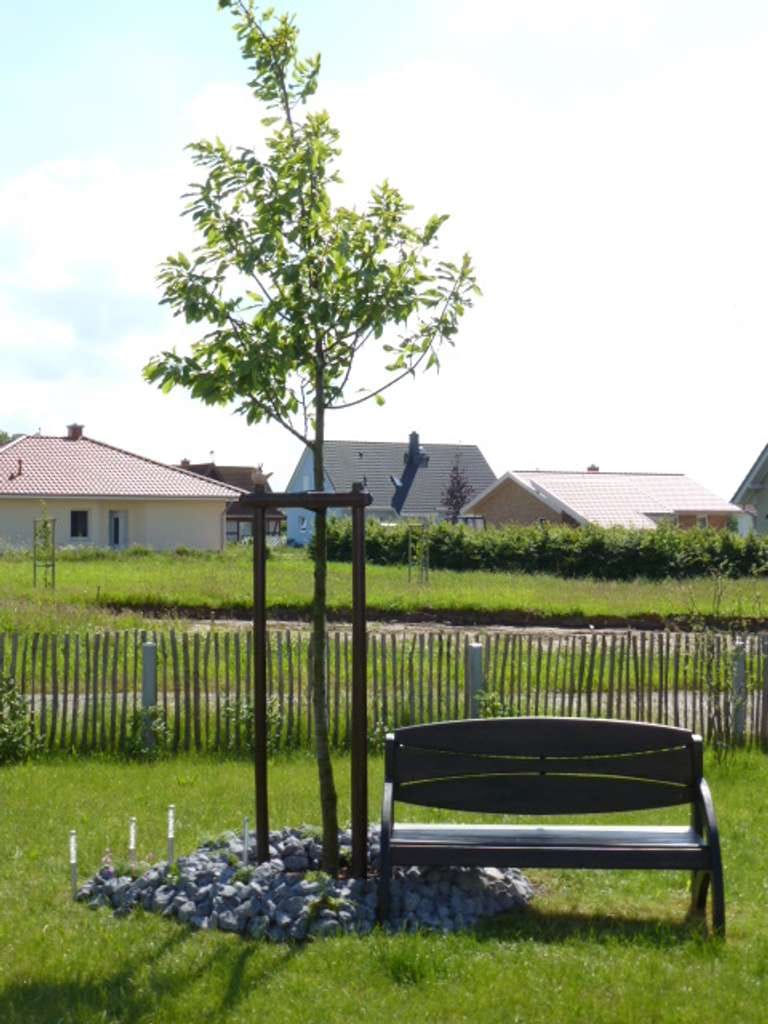 Immobilie in Am Salzhaff - Traumhafter Weitblick über´s Haff von der Dachterrasse eines exklusiven Einfamilienhauses - Bild 4