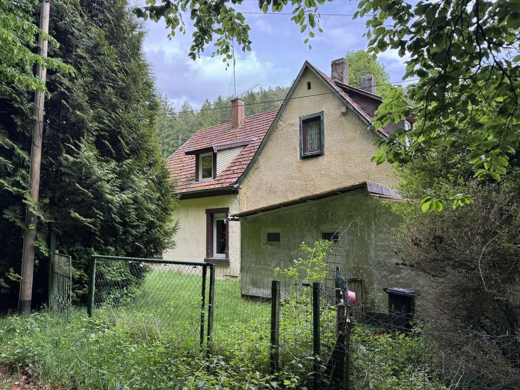 Immobilie in Waldfischbach-Burgalben - ***Absolute Traumlage im Pfälzerwald*** - Bild 3