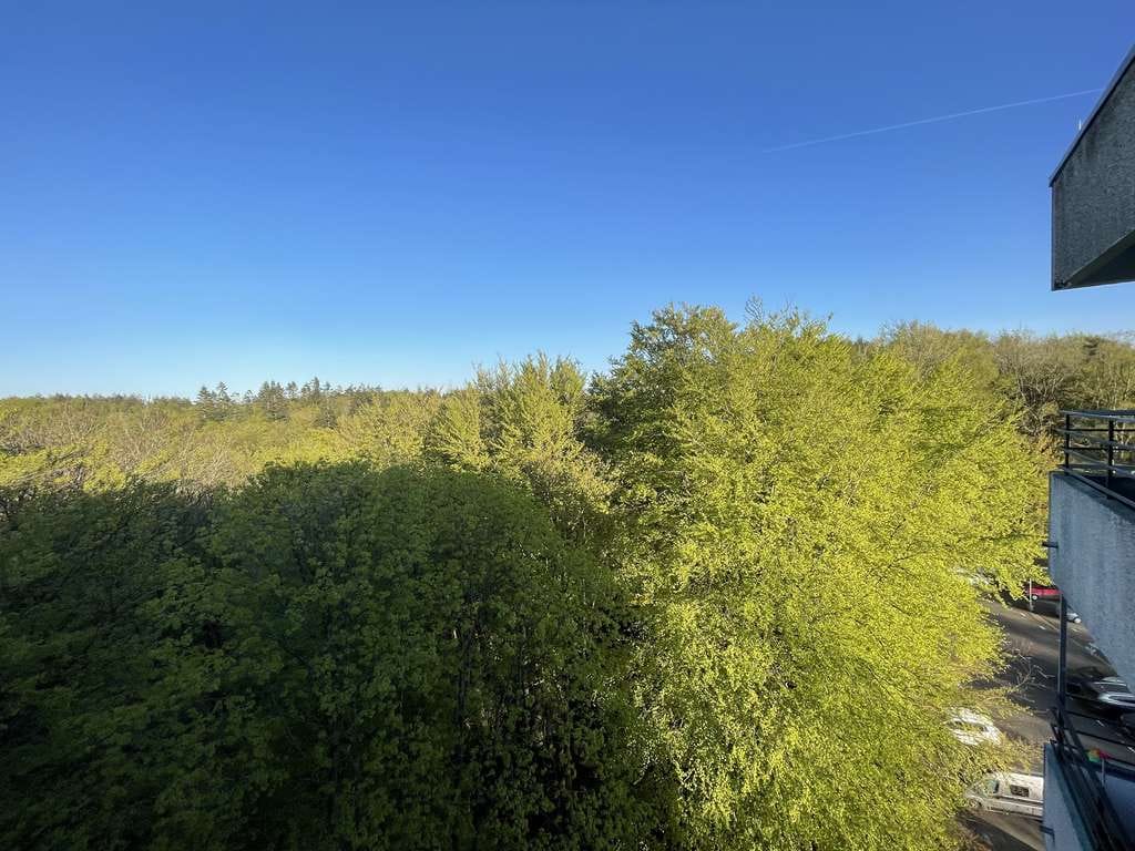 Immobilie in Glücksburg - Ostsee, dem Himmel ein Stück näher, toller Ausblick, 2 Wohnungen - Bild 4