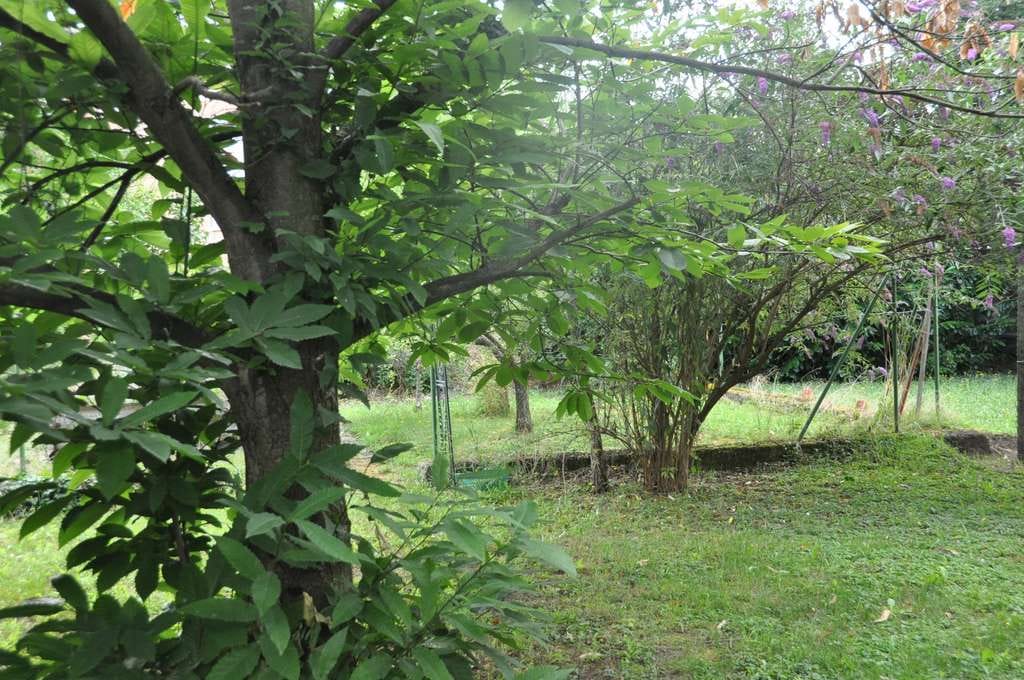 Immobilie in Sulzbach am Main - Wohnen Sie doch einfach mit der ganzen Familie / tolles Anwesen für Mehrgenerationenwohnen - Bild 4