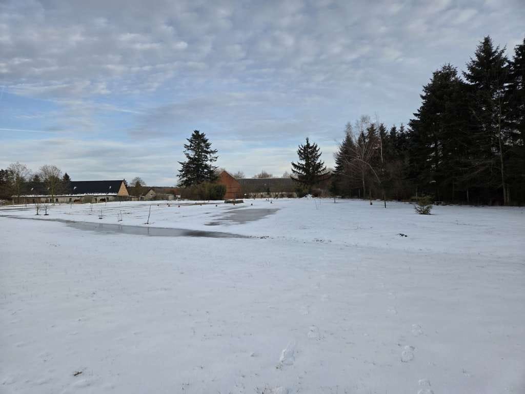 Immobilie in Spantekow - Dreiseitenhof und viel Grundstück - Bild 2