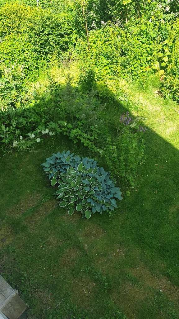 Immobilie in Mittelangeln - Bezauberndes, freistehendes Einfamilienhaus in Mittelangeln mit Garten und Garage! - Bild 3