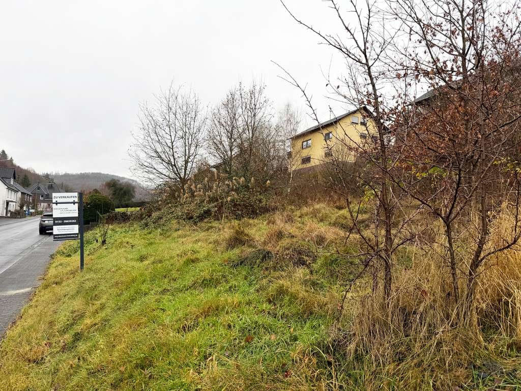 Immobilie in Niederdreisbach - Wohnen im Eigenheim! Ihr Einfamilienhaus in Niederdreisbach! - Bild 2