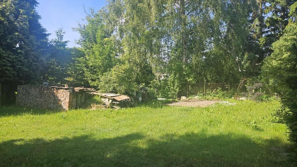 Immobilie in Karlsburg - Haus mit Pferdekoppel sucht Käufer - Bild 4