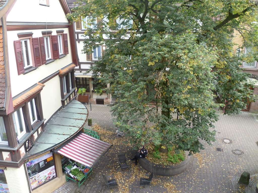 Immobilie in Schramberg - Stadtwohnung im Herzen von Schramberg - Bild 1