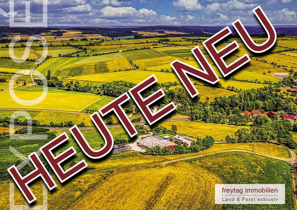 Immobilie in Ringgau - Zertifizierter Biolandbetrieb - Paradies für Mensch und Tier - Bild 0