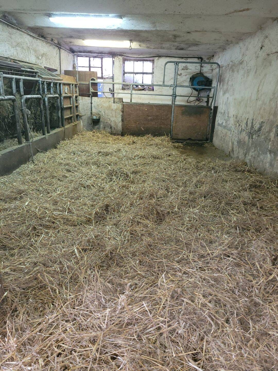 Immobilie in Oberneisen - Kompakter Pferdehof mit mehreren Gebäuden, Bewegungsplatz und ca. 1,5 ha Pachtweide!  - Bild 4