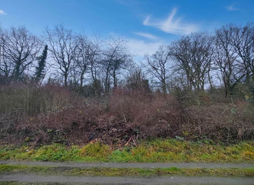 Immobilie in Gemünden - Massiv gebautes Doppelhaus mit Garten, Terrasse und Erweiterungspotenzial! - Bild 4