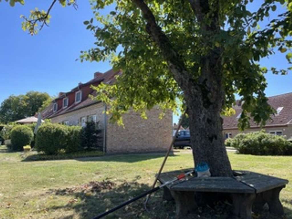 Immobilie in Gnoien - Charmantes, hochwertig saniertes Einfamilienhaus mit Einliegerwohnung und historischem Flair - Bild 3
