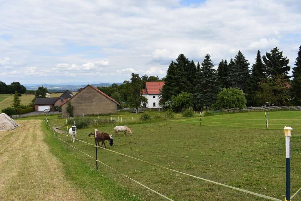 Immobilie in Moringen - Repräsentatives Landhaus mit 1,2ha Weidefläche in sehr ruhiger Lage-Preis VB - Bild 4