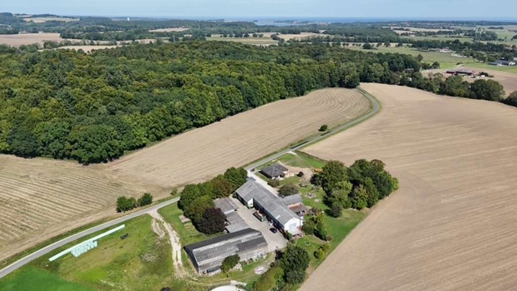 Immobilie in Blekendorf - Resthof - Alleinlage - Ostseenähe - Bild 0
