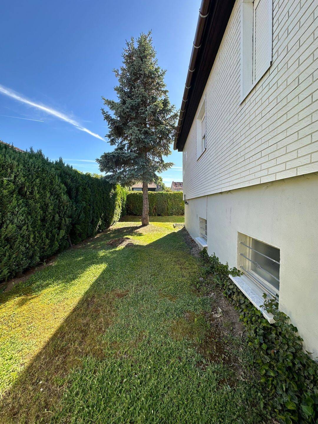 Immobilie in Georgenthal - Einfamilienhaus mit Garten in ruhiger Lage - Bild 4
