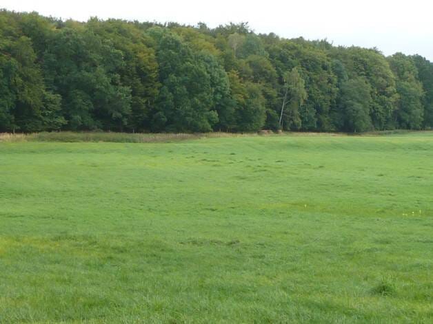 Immobilie in Uckerland - Alleinlage mit 100 qm Haus, Scheunen und 92 Hektar Land - Bild 3