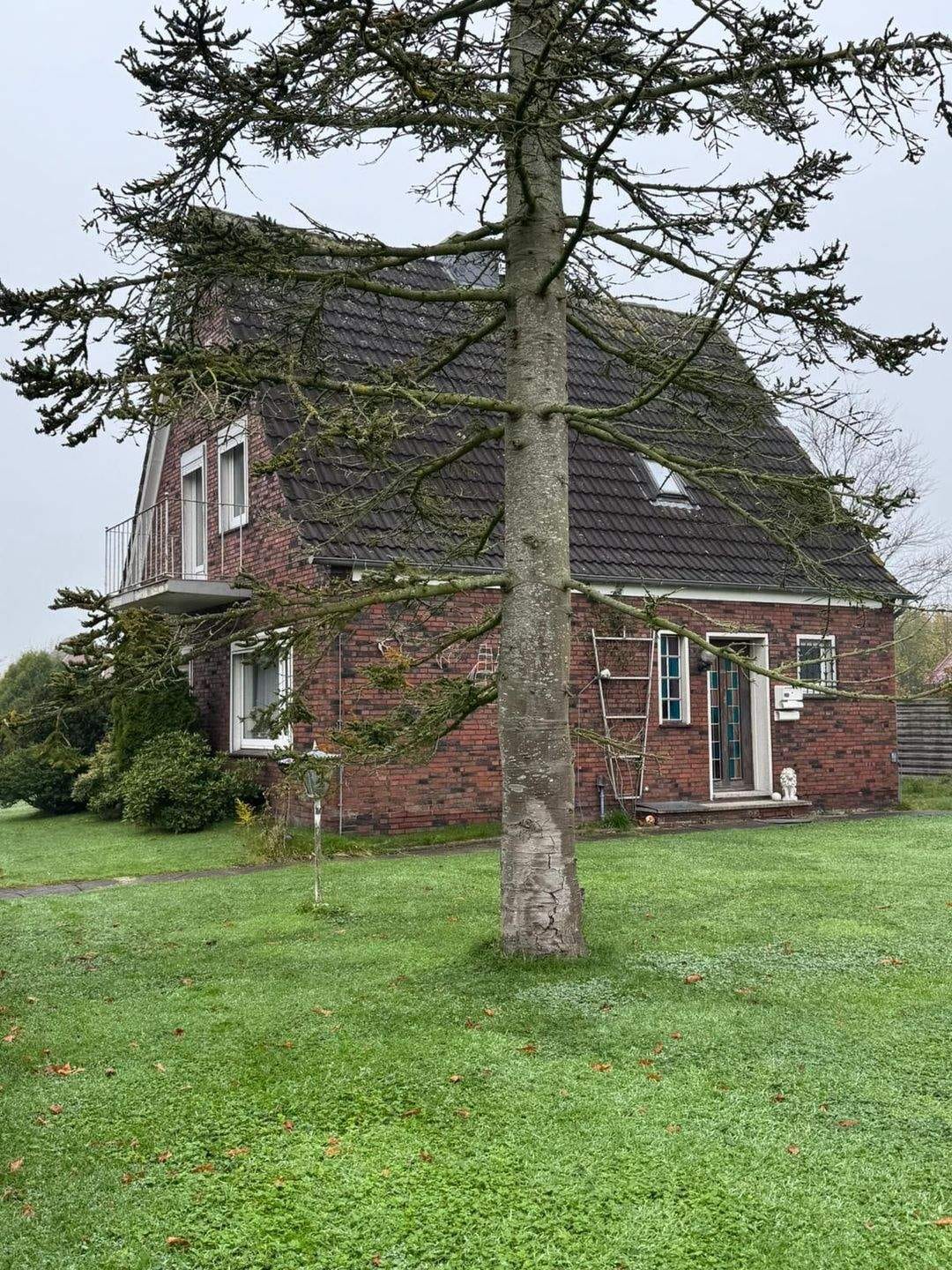 Immobilie in Jemgum - Solides Einfamilienhaus mit Garage in guter Wohnlage  - Bild 1