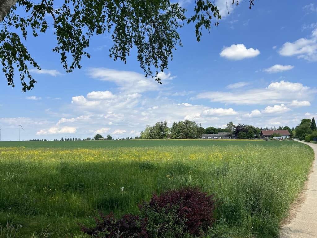 Immobilie in Lichtenwald - "Herrliches Wohnen in ruhiger Randlage von Thomashardt" Es entstehen 3 attraktive und sonnige EFH - Bild 3