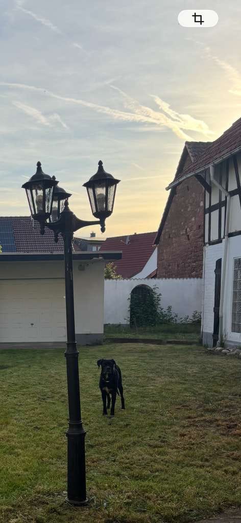 Immobilie in Hasselroth - Gepflegtes  Fachwerkhaus mit  in Hasselroth - Bild 4