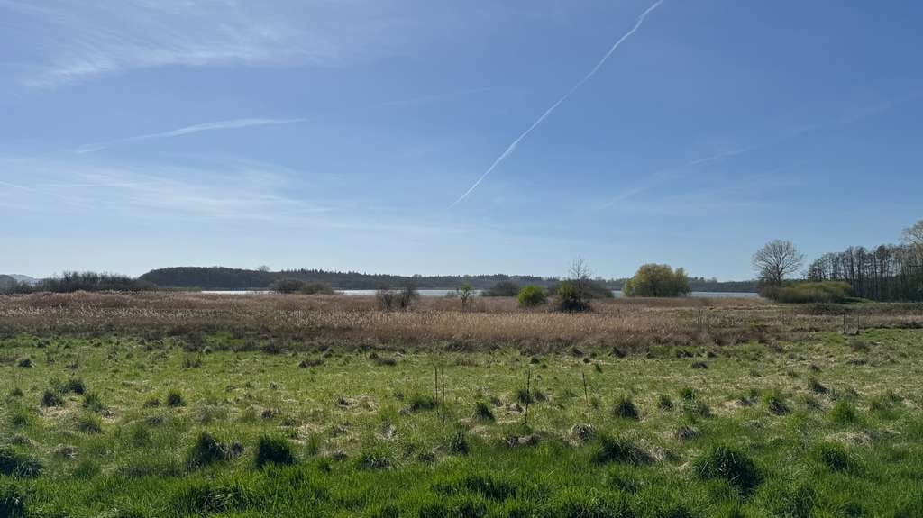 Immobilie in Giekau - Doppelhaushälfte in Giekau - Bild 4