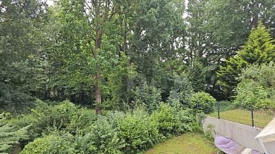 Immobilie in Sierksdorf - KLEIN ABER FEIN - FERIENVERMIETUNG AN DER OSTSEE - Bild 0