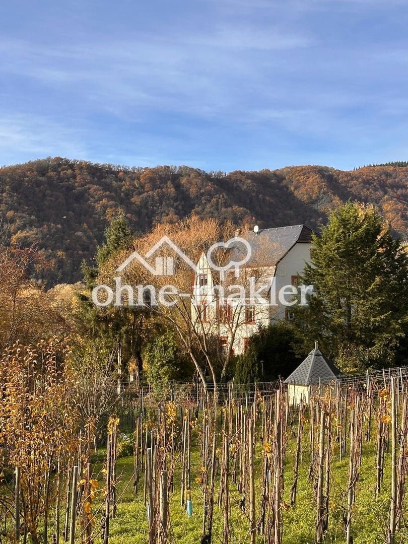 Immobilie in Neumagen-Dhron - Exklusives Landhaus, selten, außergewöhnlich, hohes Maß an Privatsphäre - Bild 4