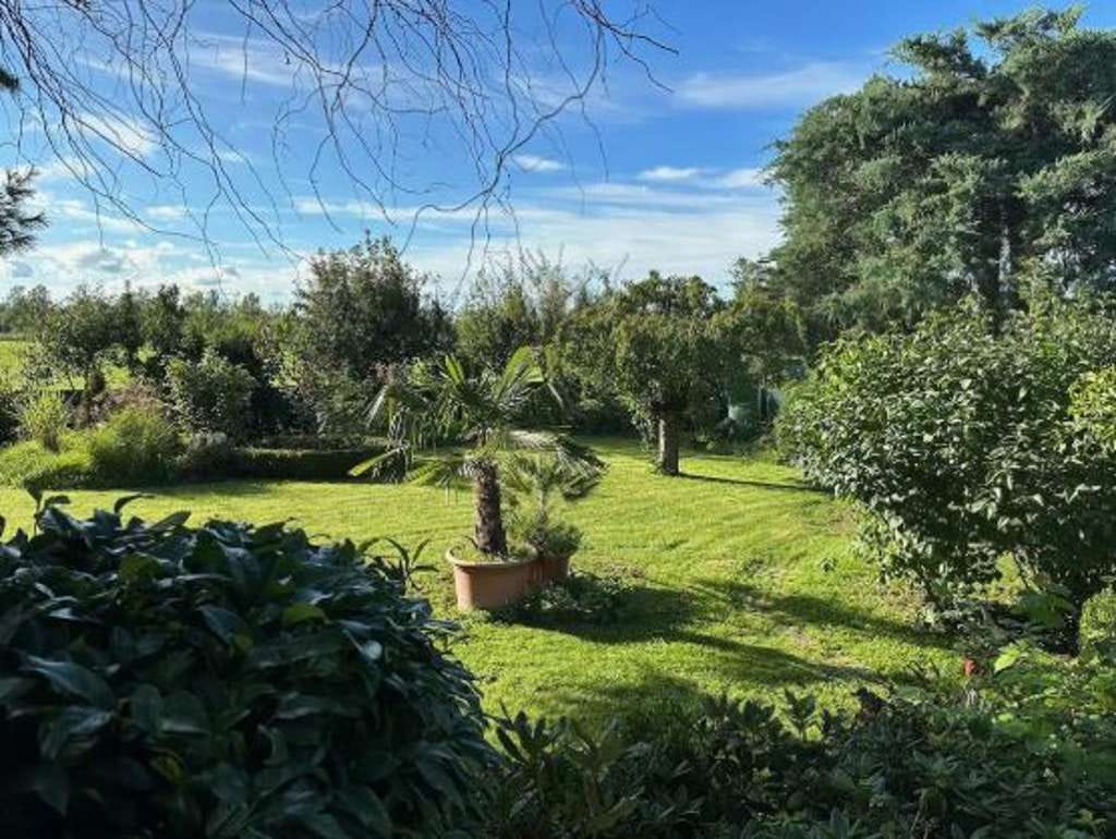 Immobilie in Echzell - Traumhafter Bungalow mit Pool - Bild 2
