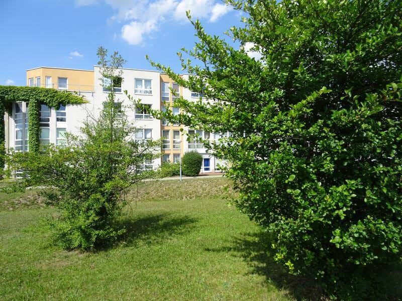 Immobilie in Altmittweida - 2 VERMIETETE Eigentumswohnungen im Paket in der Hochschulstadt Mittweida - Bild 2