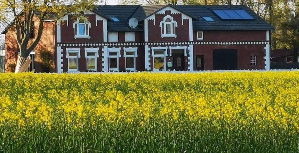 Immobilie in Hemme - Charmanter Resthof in Hemme: 293 m² Wohnfläche und 23.650 m² Grundstück - Bild 0