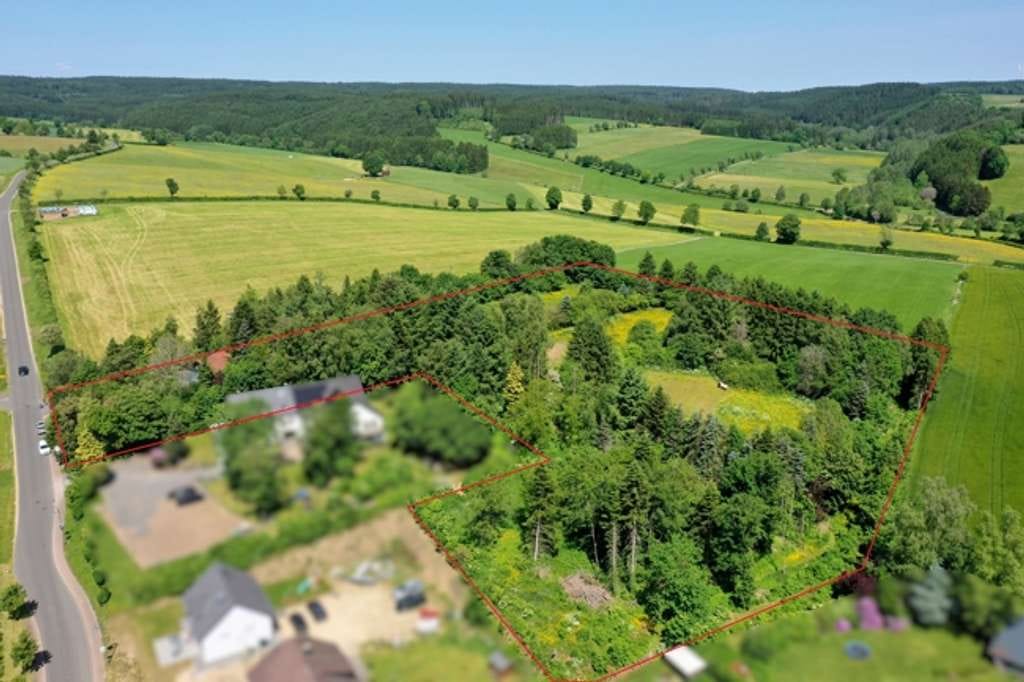 Immobilie in Olzheim - Pferdeliebhaber aufgepasst! Idyllisches Anwesen mit Holzblockhaus, Stallungen, Paddock & Weideland - Bild 2
