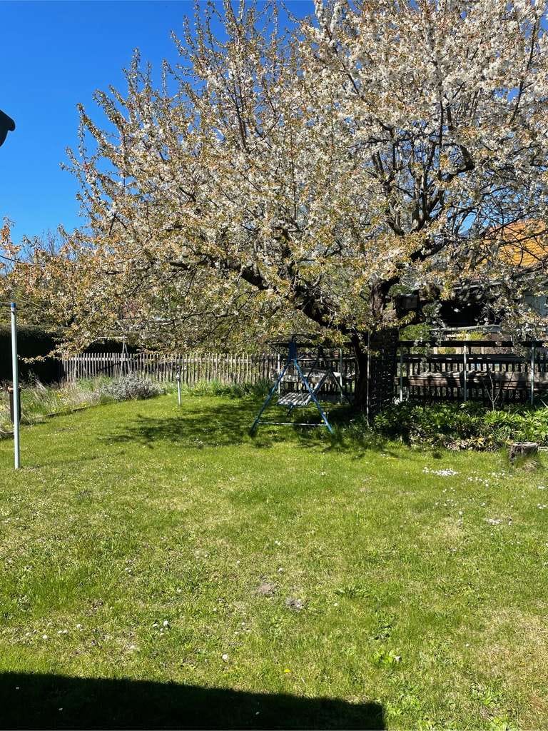 Immobilie in Remse - Einfamilienhaus in Remse bezugsfertig und erweiterbar nach eigenen Wünschen - Bild 3