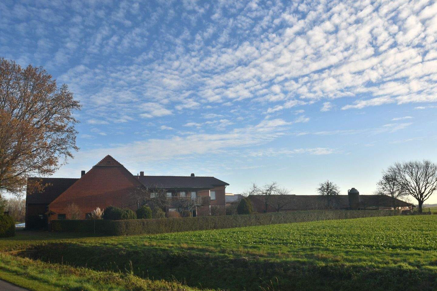 Immobilie in Wagenfeld - Solider Resthof mit Scheune Stallungen in Alleinlage - Bild 1