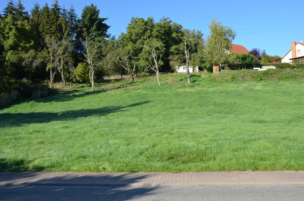 Immobilie in Rüssingen - STADTVILLA MIT SÜDSTAATENFLAIR - Bild 1