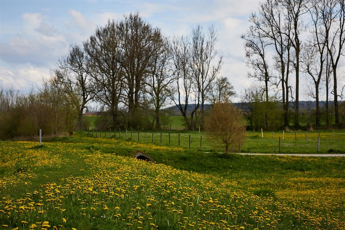 Immobilie in Pforzen - Villa im Einzugsgebiet von München - Bild 2