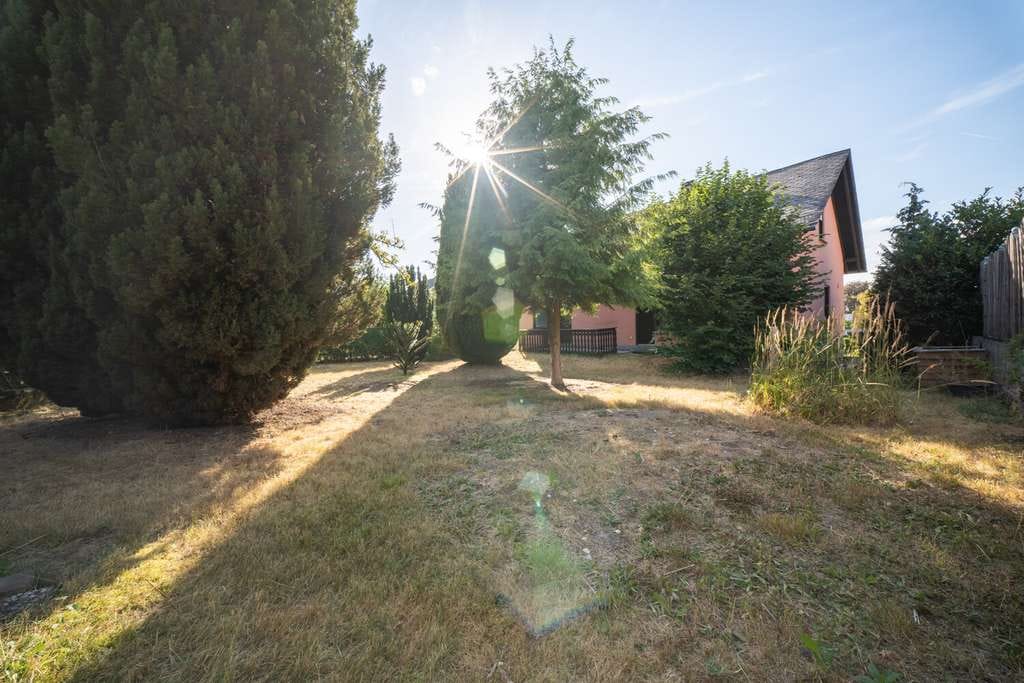 Immobilie in Argenthal - Klar geschnittenes Einfamilienhaus mit Terrasse, Vollkeller und Gartenseite - Bild 4